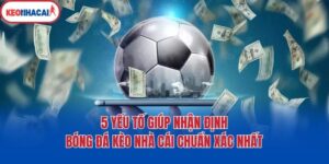 5 Yếu Tố Giúp Nhận Định Bóng Đá Kèo Nhà Cái Chuẩn Xác Nhất