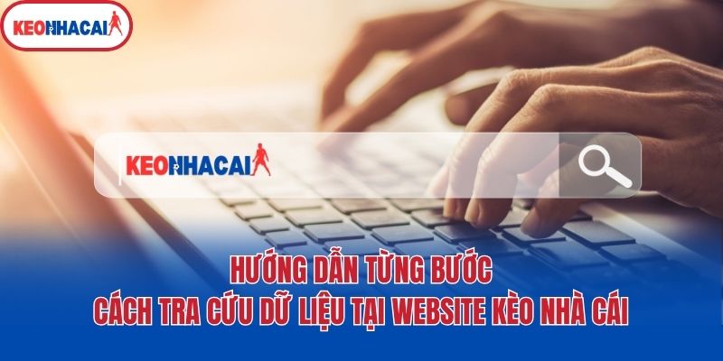 Hướng dẫn từng bước cách tra cứu dữ liệu tại website Kèo nhà cái