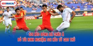 Soi Kèo Bóng Đá Châu Á: Bỏ Túi Kinh Nghiệm Soi Kèo Từ Cao Thủ