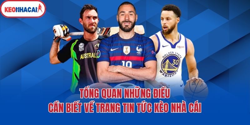 Tổng quan những điều cần biết về trang tin tức Kèo nhà cái