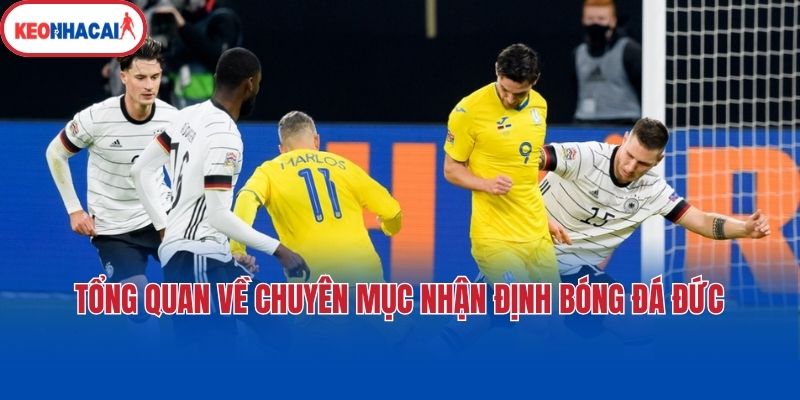 Tổng quan về chuyên mục nhận định bóng đá Đức