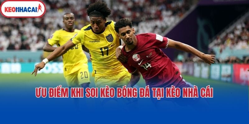Ưu điểm khi soi kèo bóng đá tại Kèo nhà cái